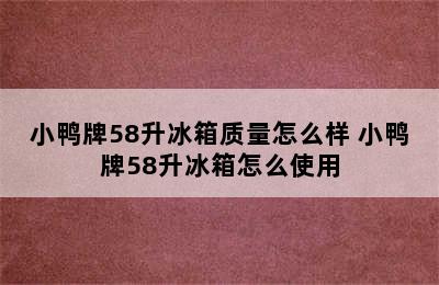 小鸭牌58升冰箱质量怎么样 小鸭牌58升冰箱怎么使用